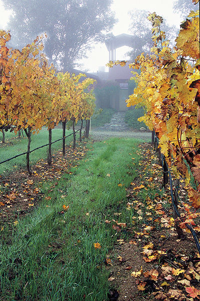 Explore Livermore Wine Country